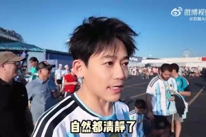 苏醒：世界杯结束了清净了，总比踢到一半就淘汰的那种清净好吧