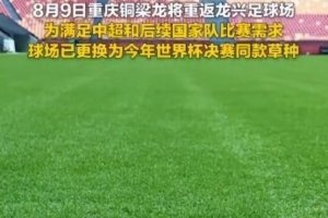 重庆龙兴球场升级，采用世界杯决赛专用草种