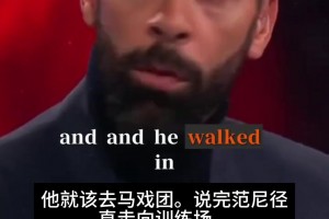 不满炫技！费迪南德：曼联时期范尼曾对C罗说“你就该去马戏团”