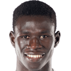 蒂亚雷